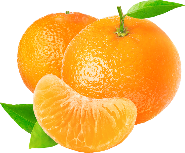 Isolated Tangerines
